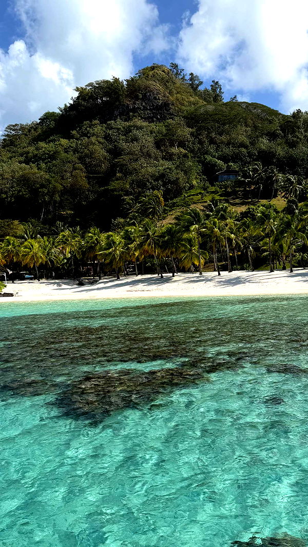 emilyelizabbeth image ~ Altpins