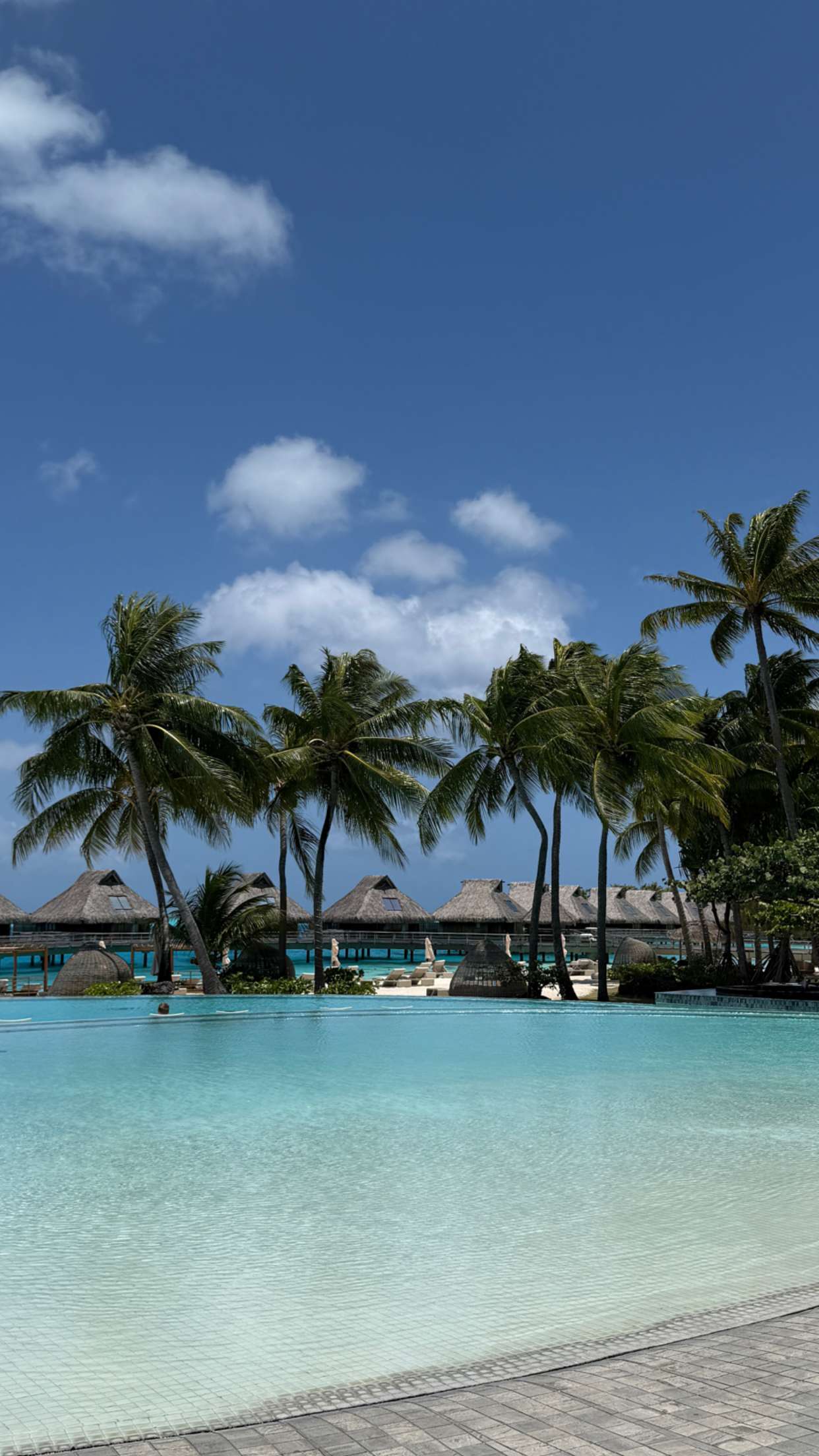 emilyelizabbeth snapchat image archive image