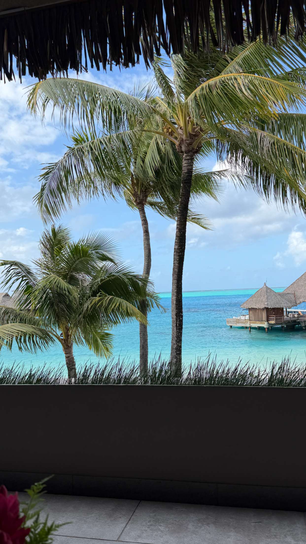 emilyelizabbeth snapchat image archive image