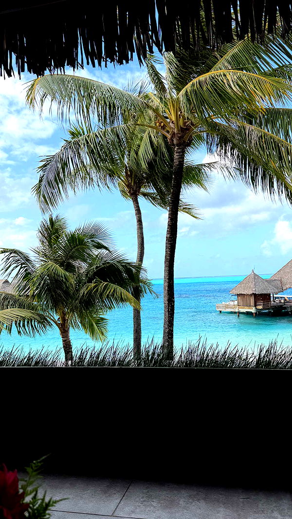 emilyelizabbeth image ~ Altpins