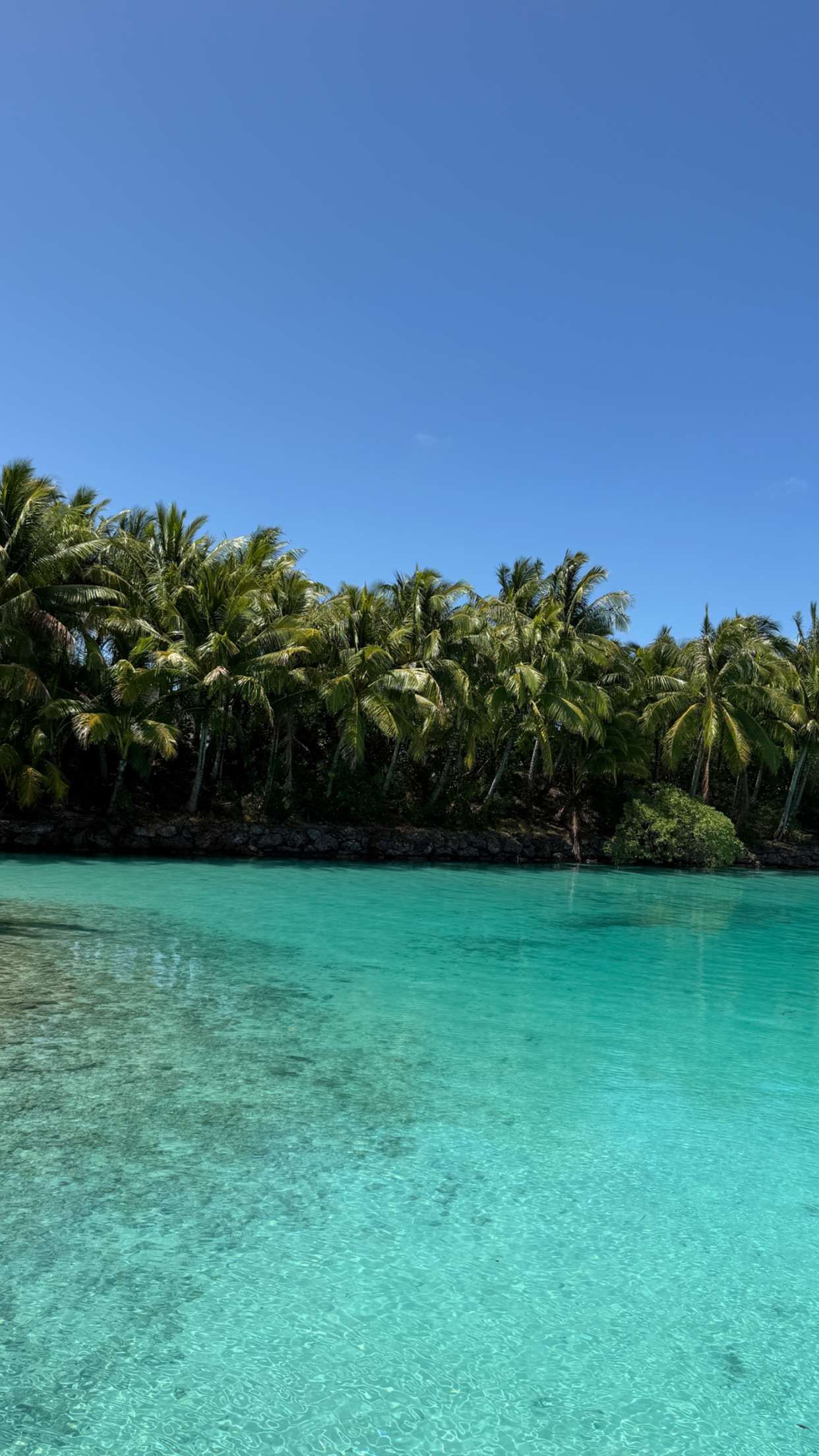 emilyelizabbeth snapchat image archive image