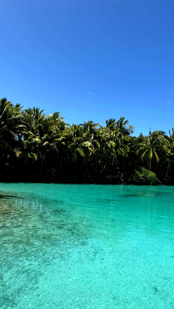 emilyelizabbeth image ~ Altpins