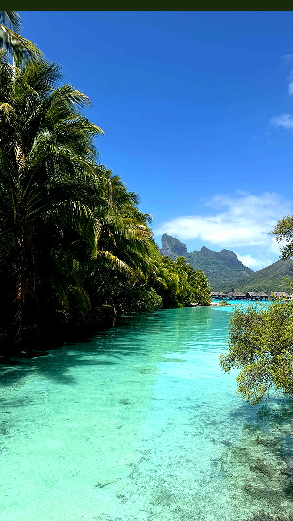 emilyelizabbeth image ~ Altpins