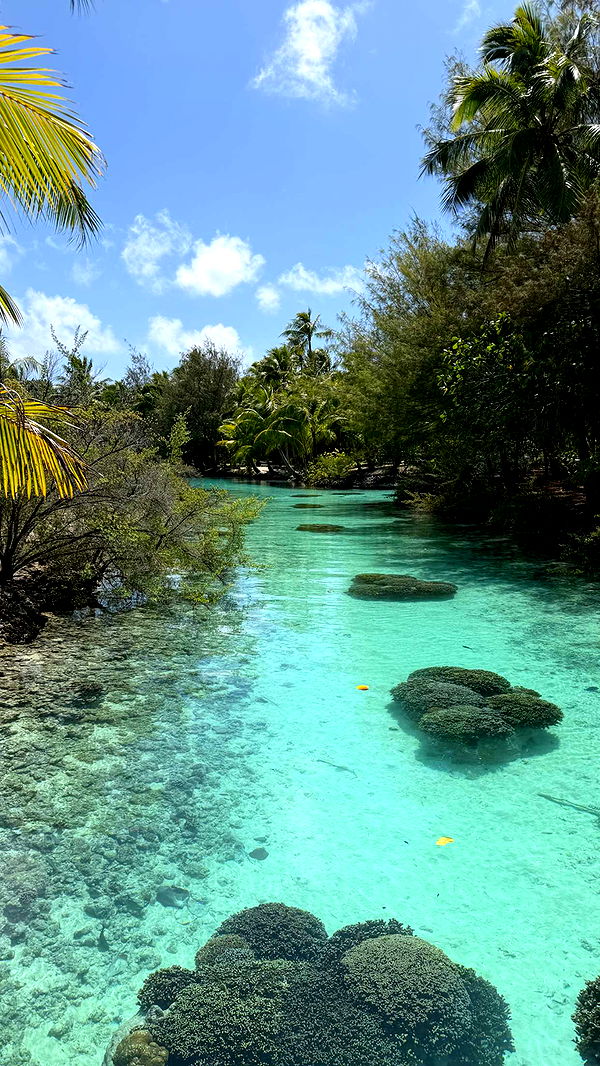 emilyelizabbeth image ~ Altpins