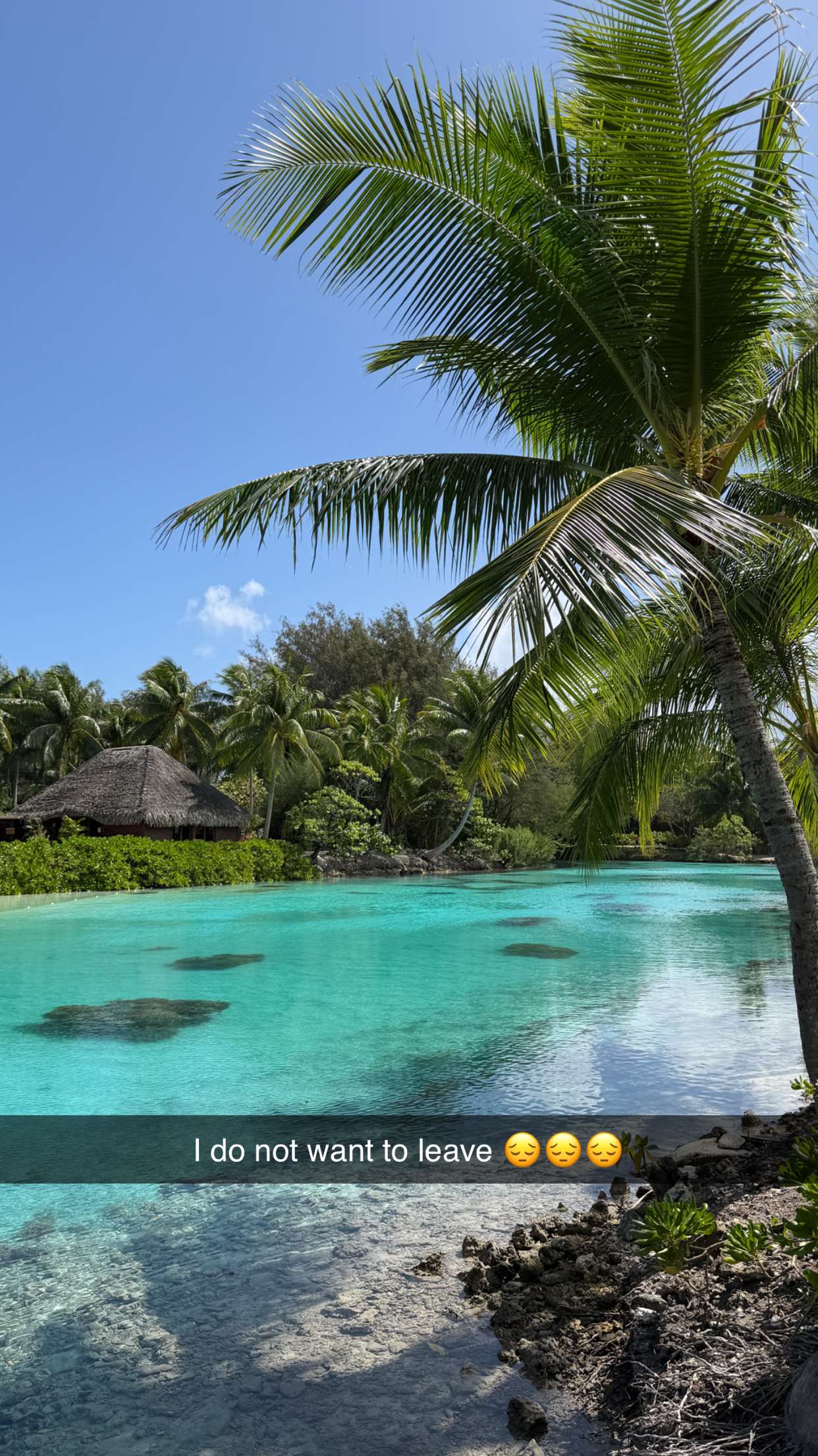 emilyelizabbeth snapchat image archive image