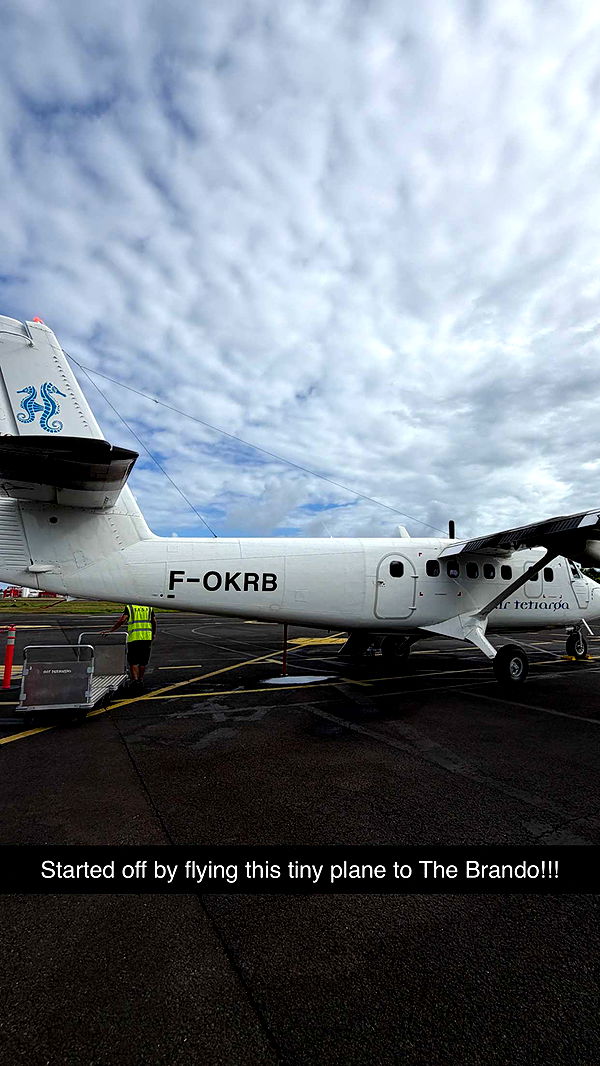 emilyelizabbeth image ~ Altpins