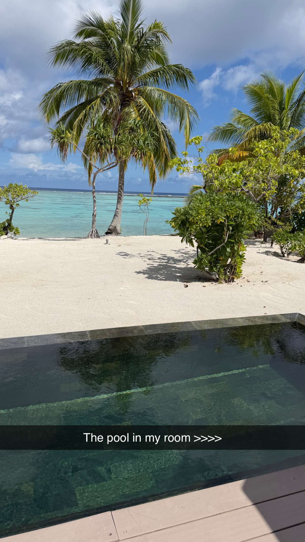 emilyelizabbeth snapchat image archive image