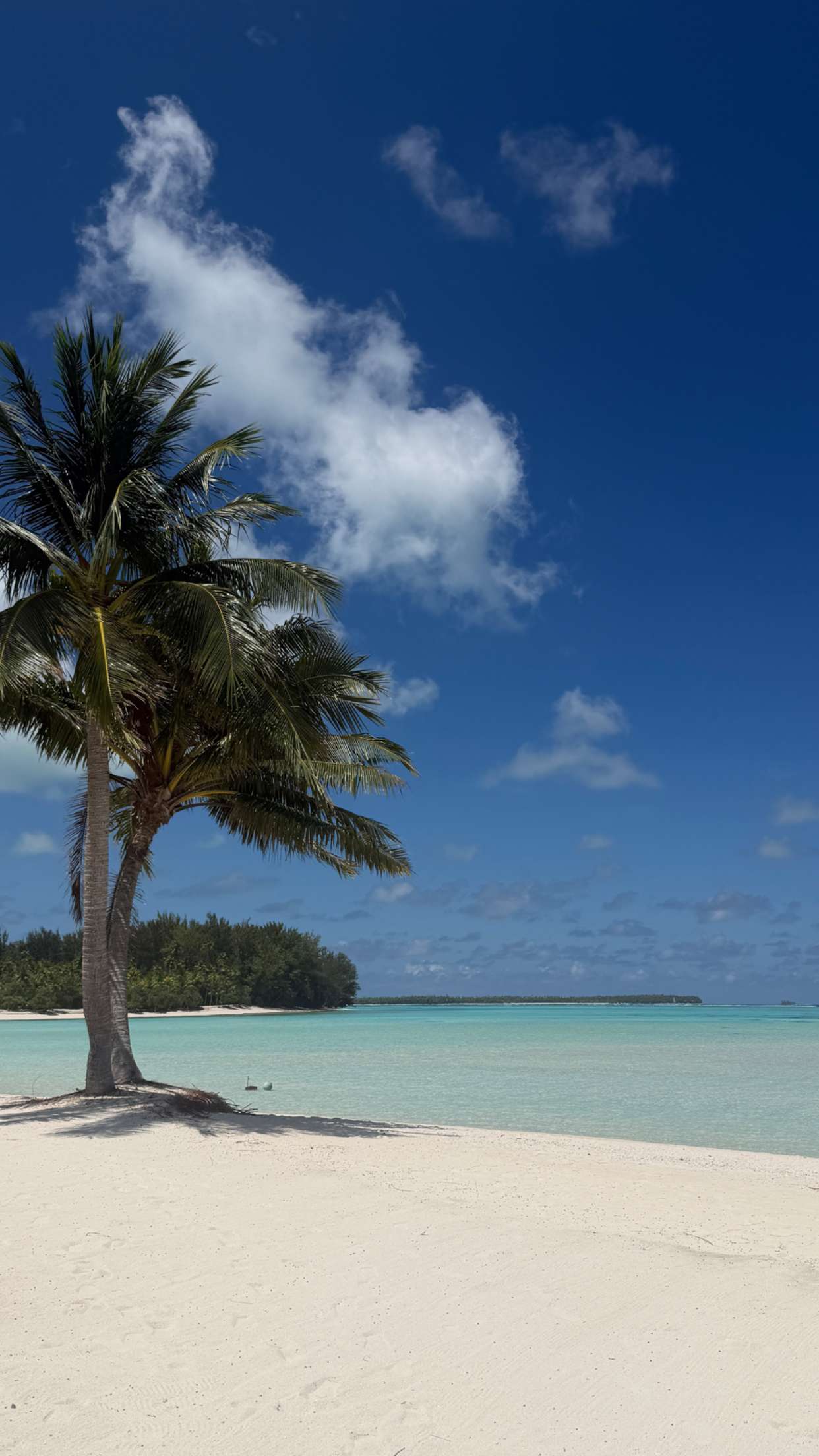 emilyelizabbeth snapchat image archive image