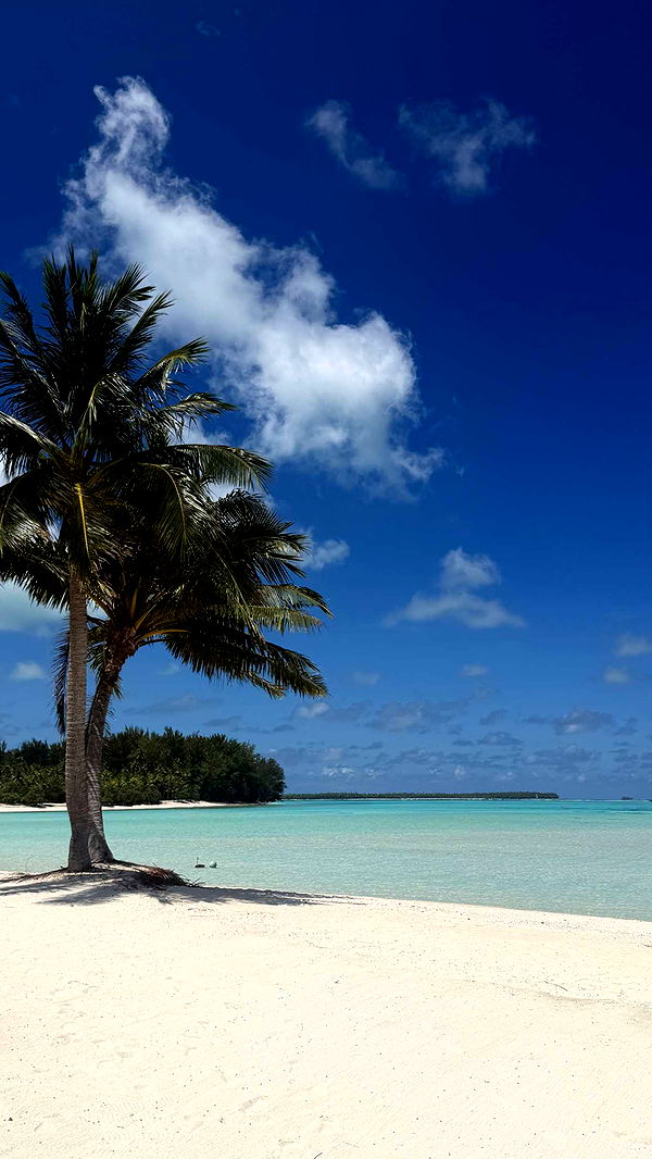 emilyelizabbeth image ~ Altpins