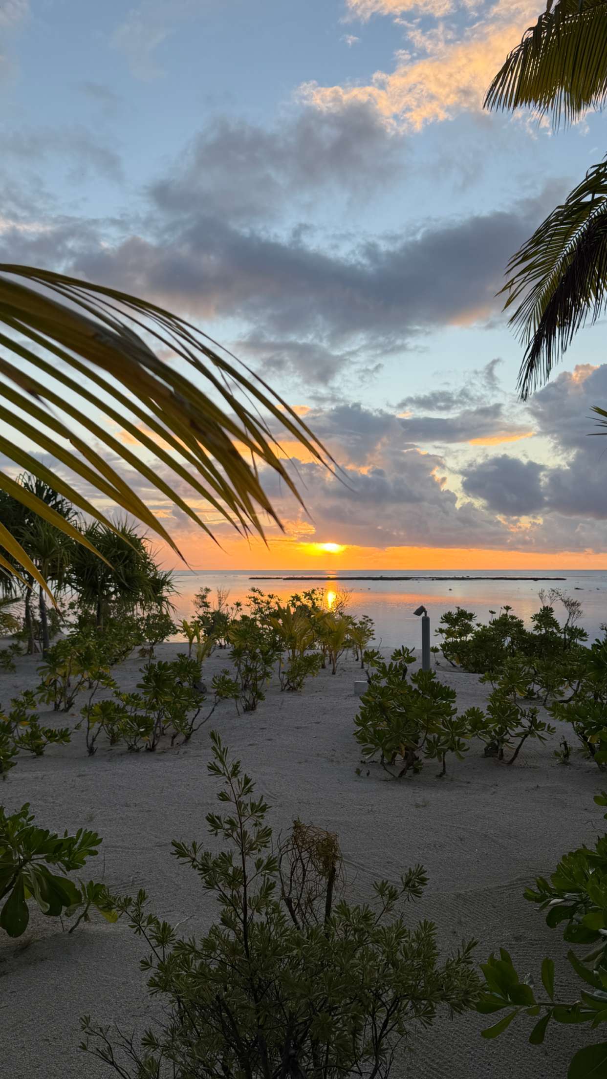 emilyelizabbeth snapchat image archive image