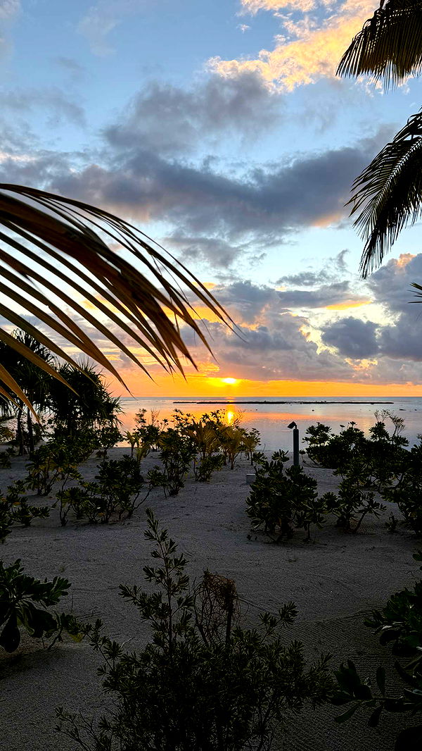 emilyelizabbeth image ~ Altpins