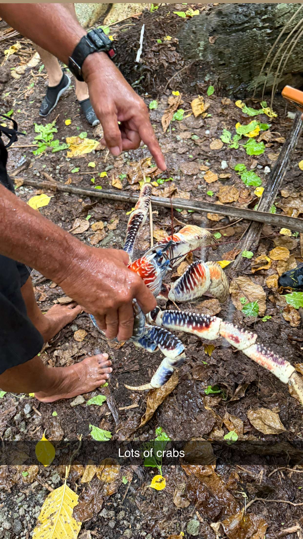 emilyelizabbeth snapchat image archive image