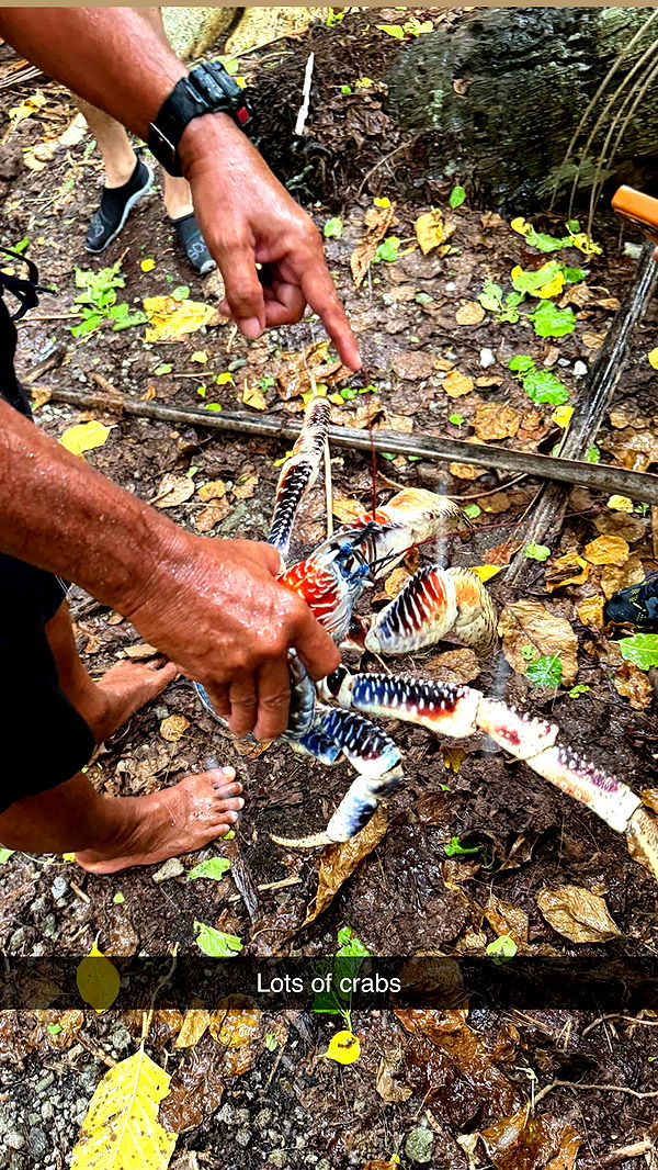 emilyelizabbeth image ~ Altpins