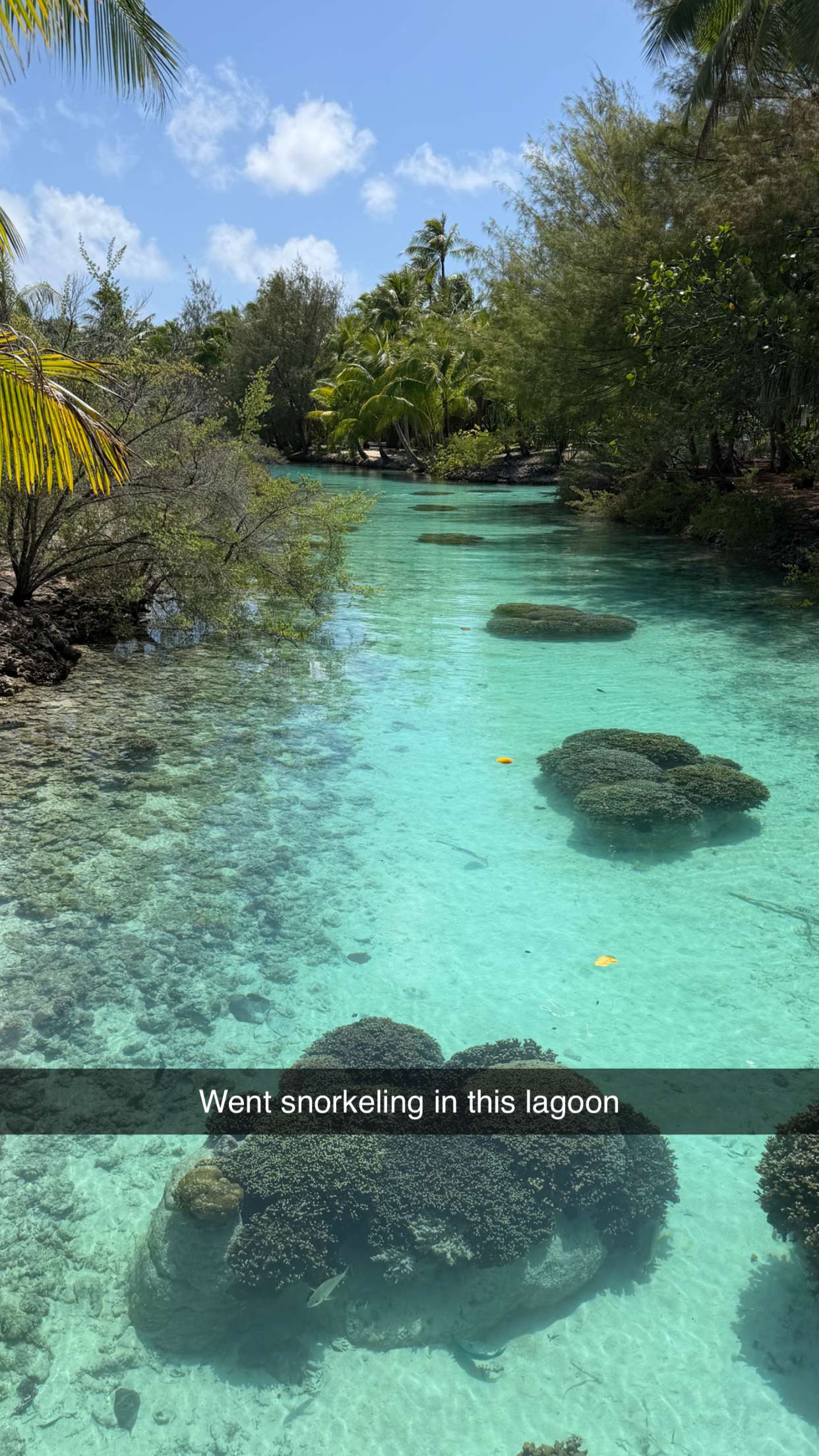 emilyelizabbeth snapchat image archive image