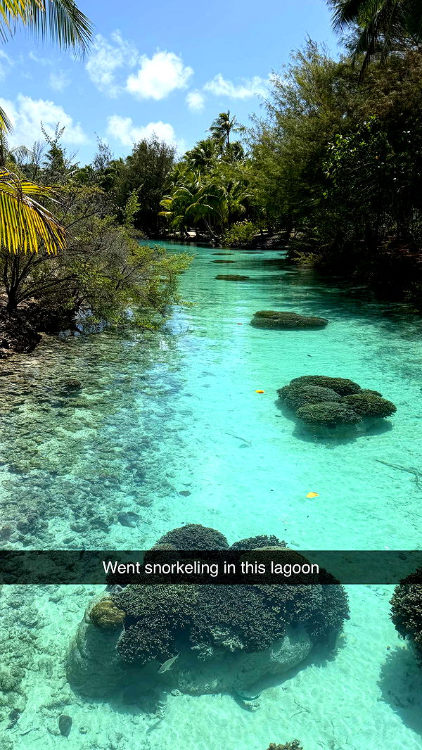 emilyelizabbeth image ~ Altpins