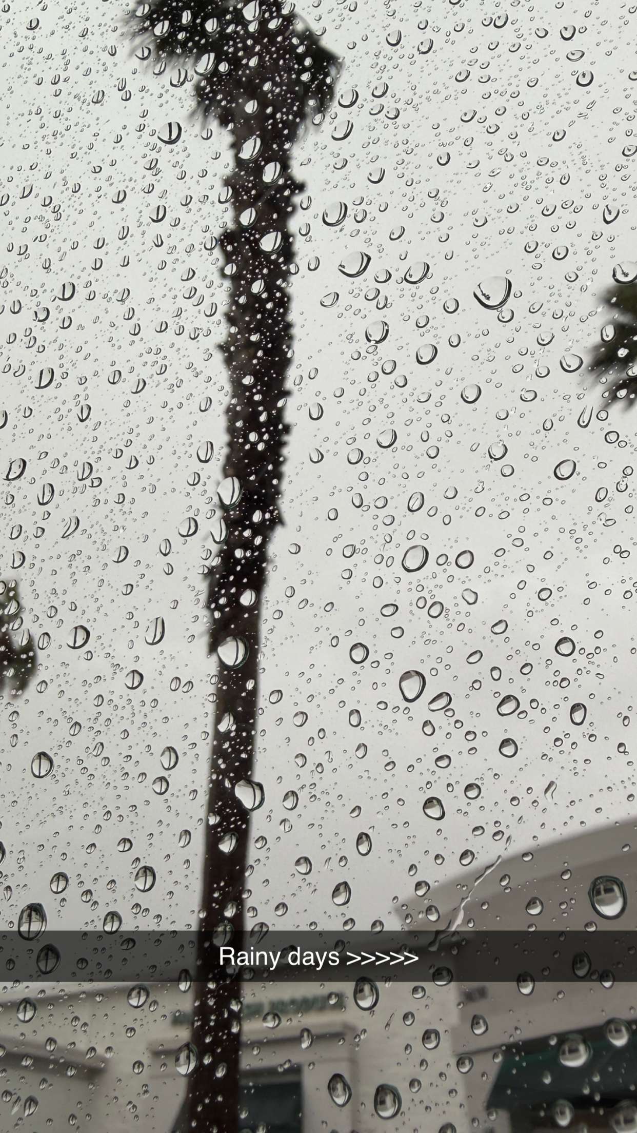 emilyelizabbeth snapchat image archive image