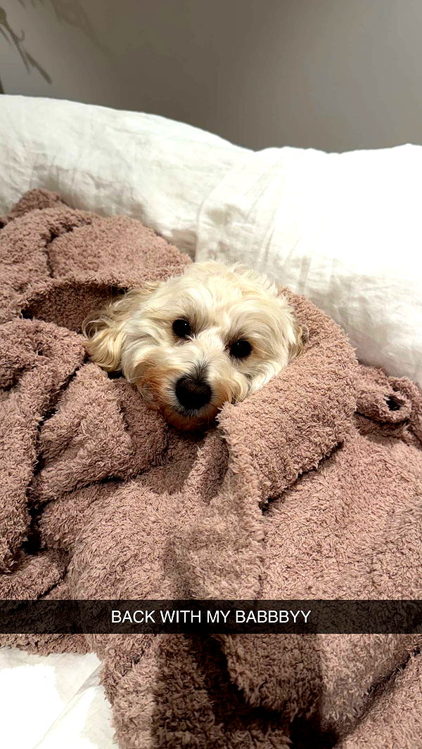 emilyelizabbeth image ~ Altpins