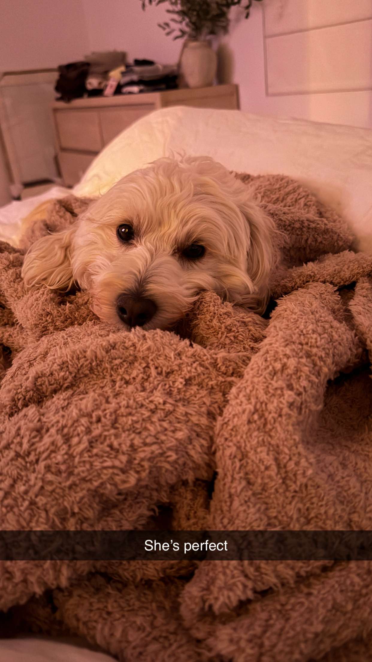 emilyelizabbeth snapchat image archive image