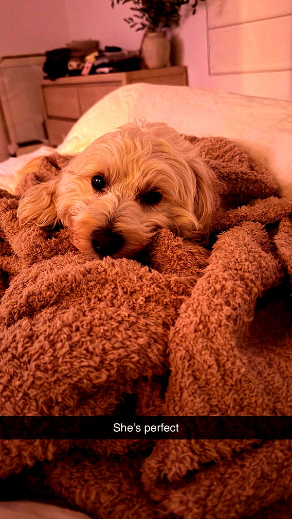 emilyelizabbeth image ~ Altpins