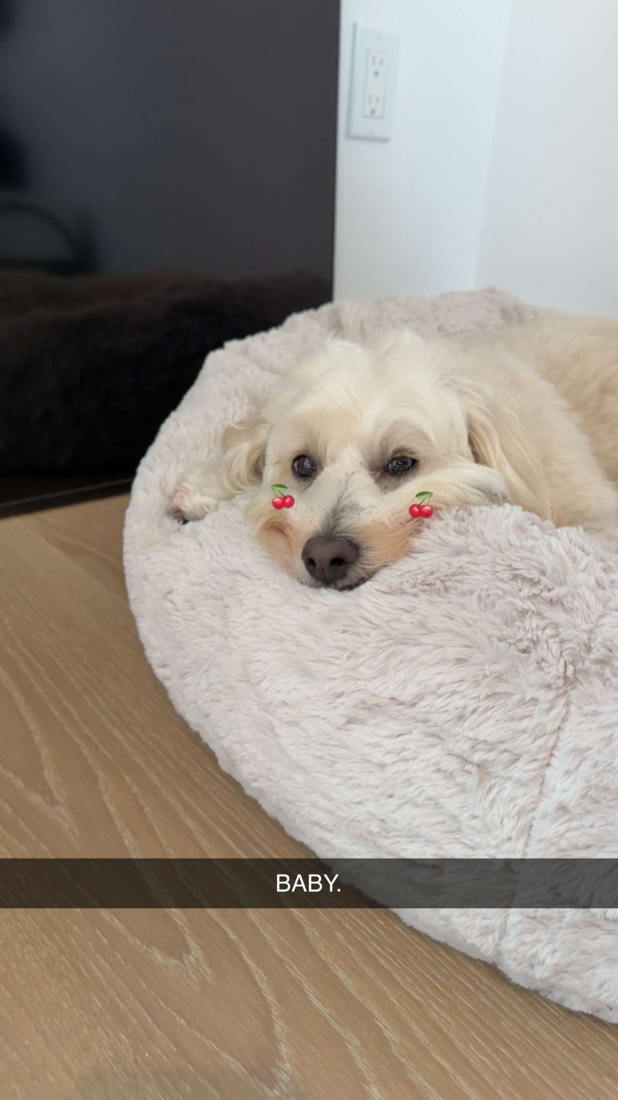 emilyelizabbeth snapchat image archive image