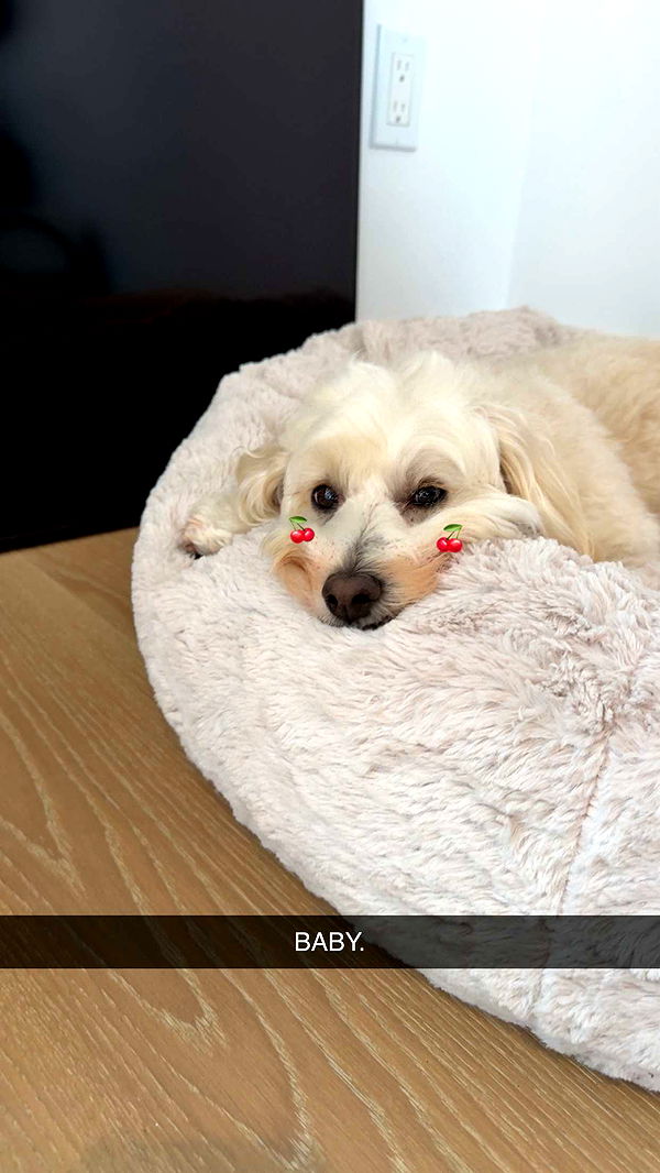 emilyelizabbeth image ~ Altpins