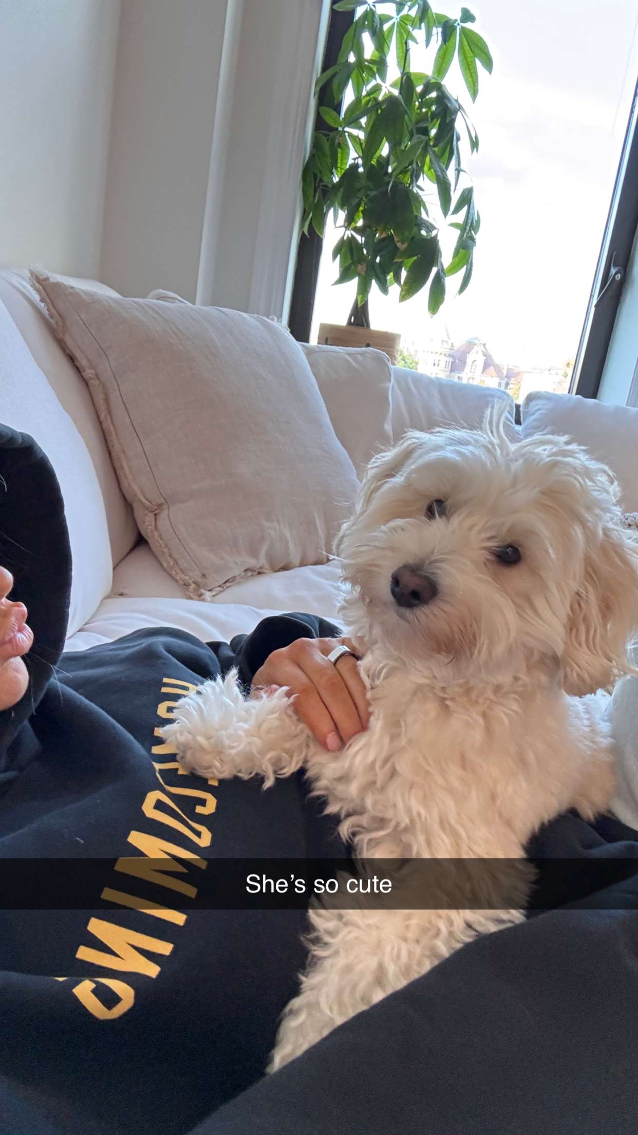 emilyelizabbeth snapchat image archive image