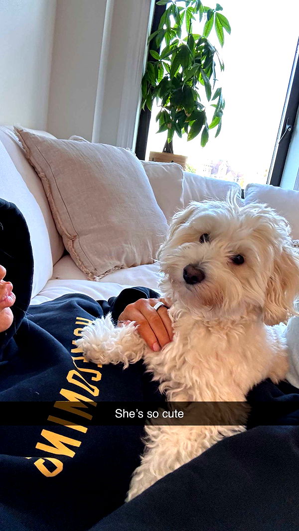 emilyelizabbeth image ~ Altpins