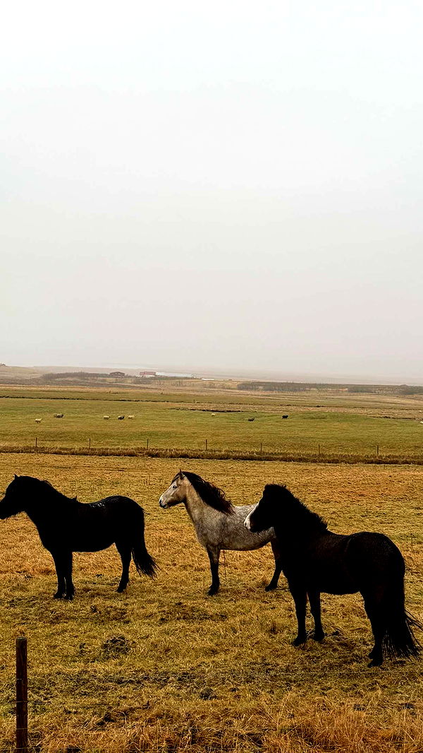 emilyelizabbeth image ~ Altpins