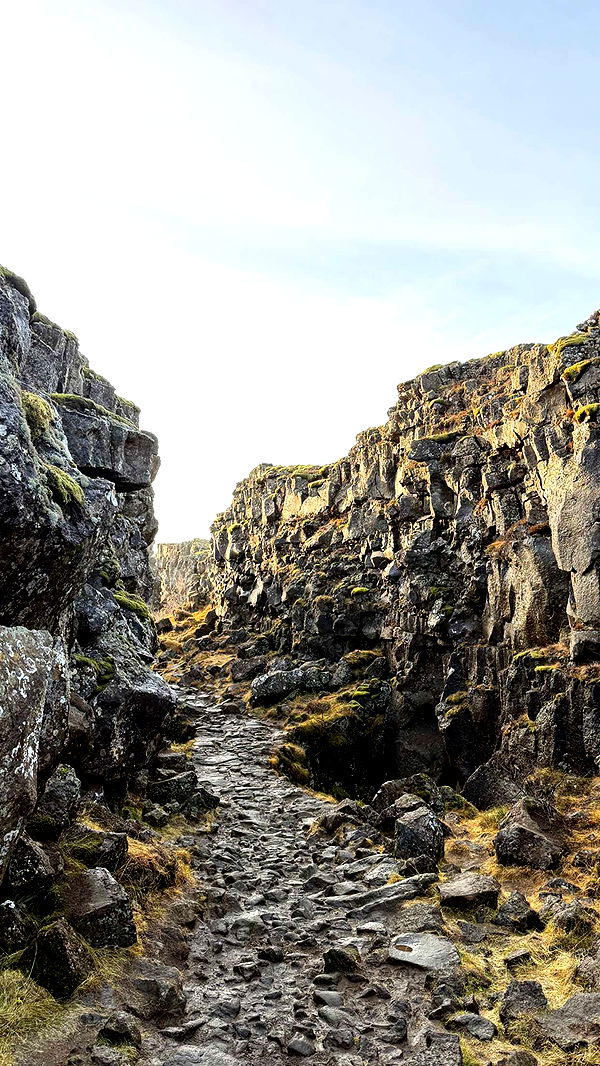 emilyelizabbeth image ~ Altpins