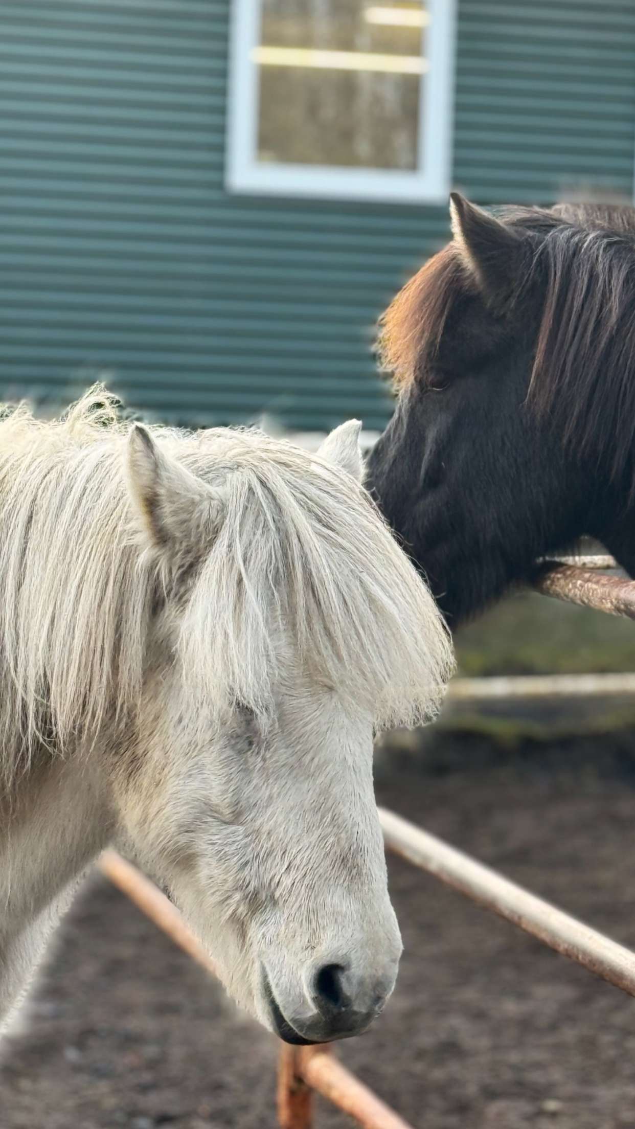 emilyelizabbeth snapchat image archive image