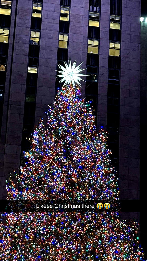 emilyelizabbeth image ~ Altpins