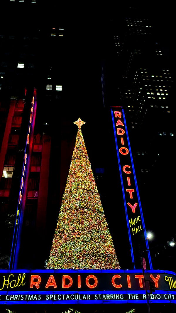 emilyelizabbeth image ~ Altpins