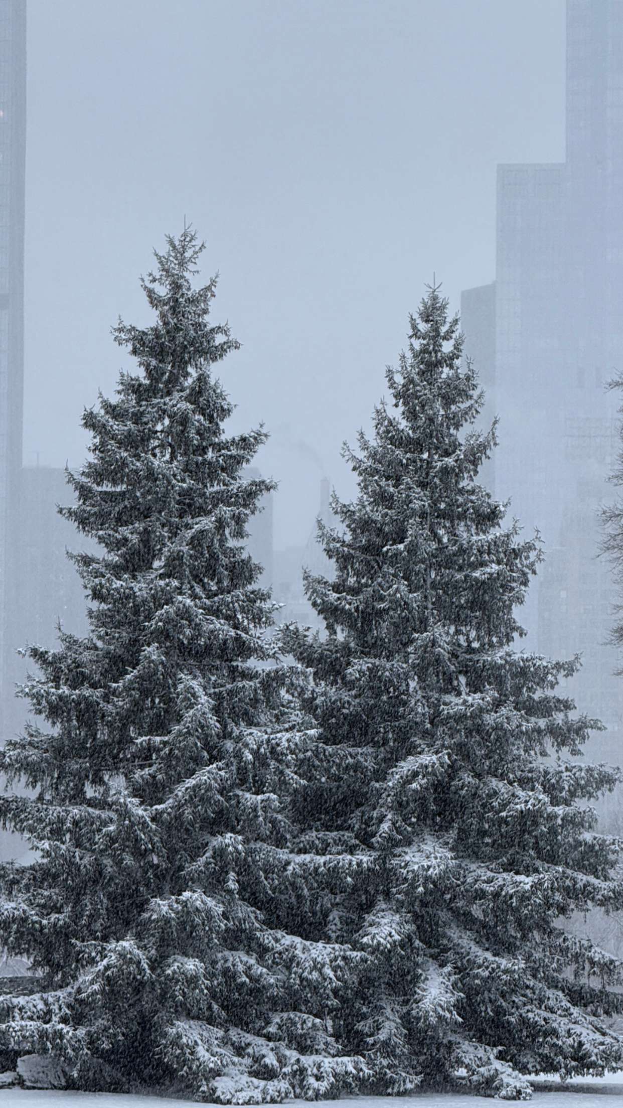 emilyelizabbeth snapchat image archive image