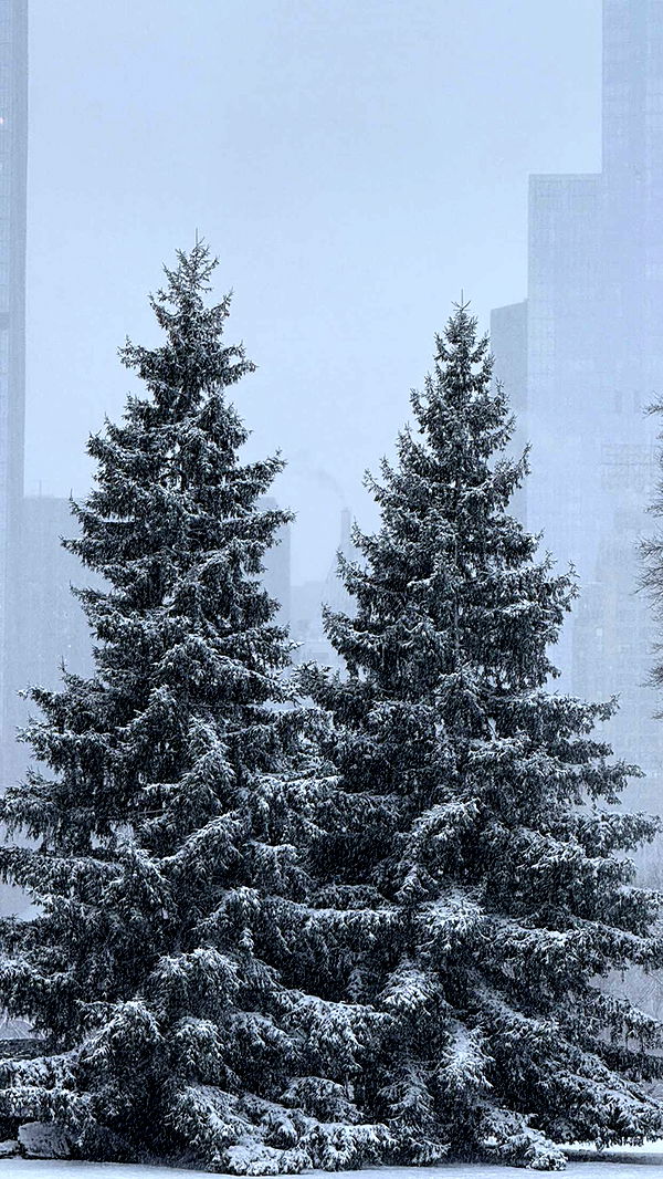 emilyelizabbeth image ~ Altpins