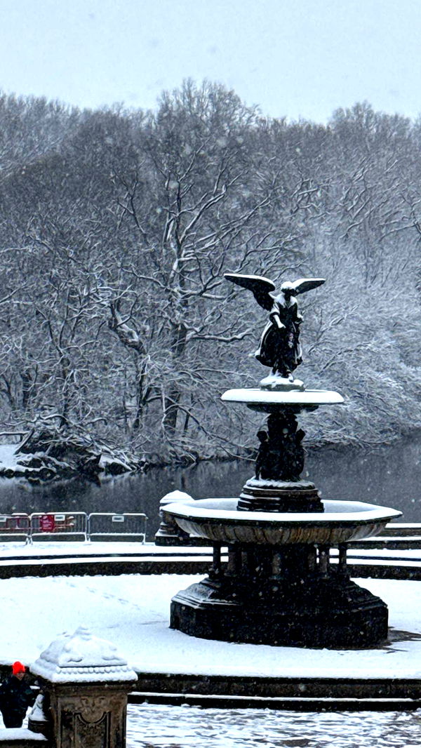 emilyelizabbeth image ~ Altpins