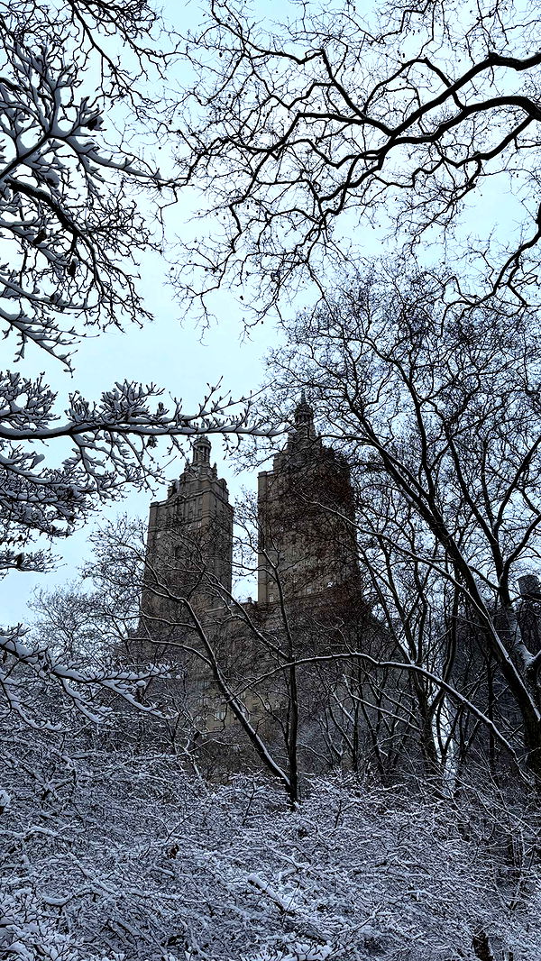 emilyelizabbeth image ~ Altpins