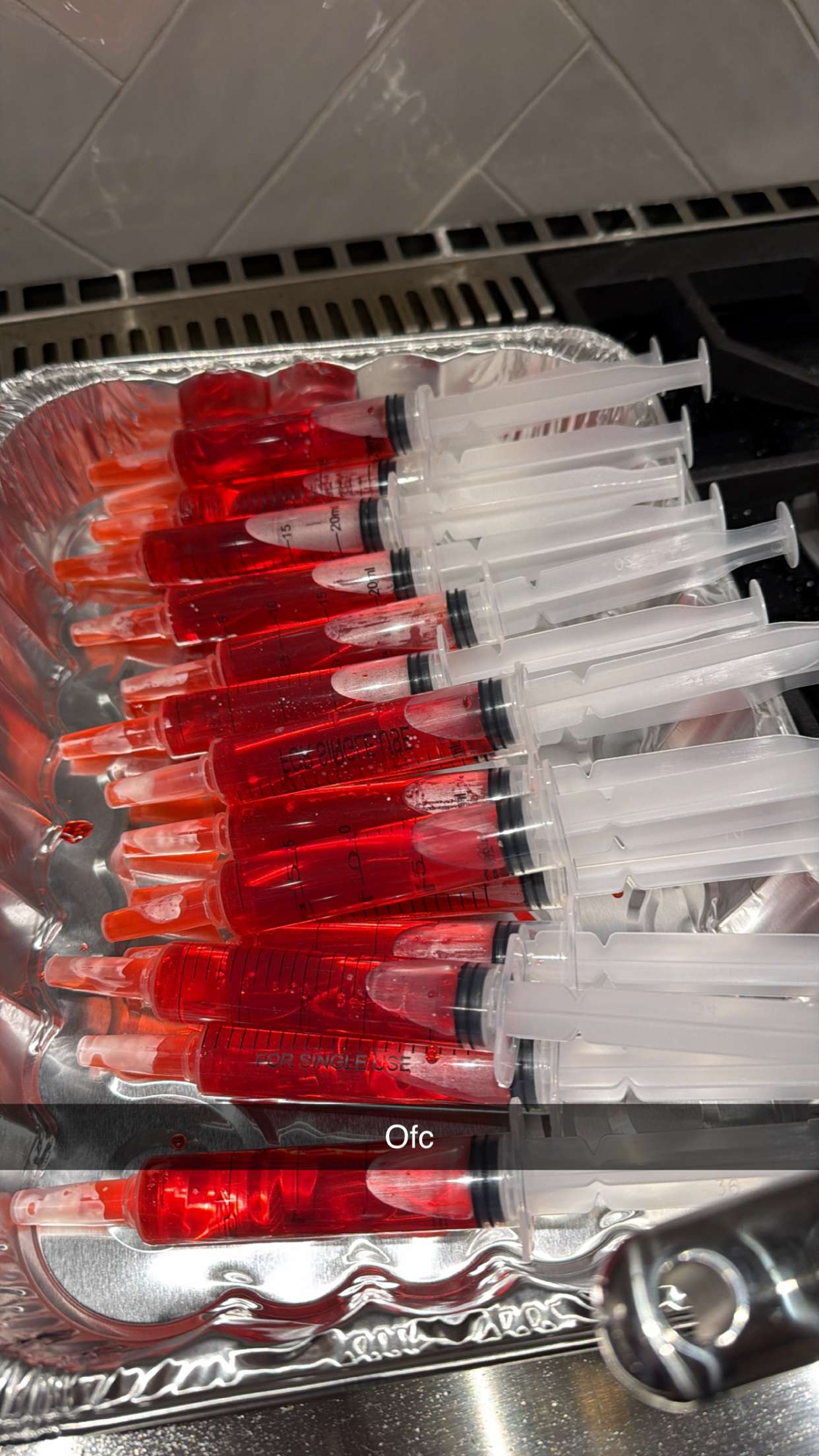 emilyelizabbeth snapchat image archive image