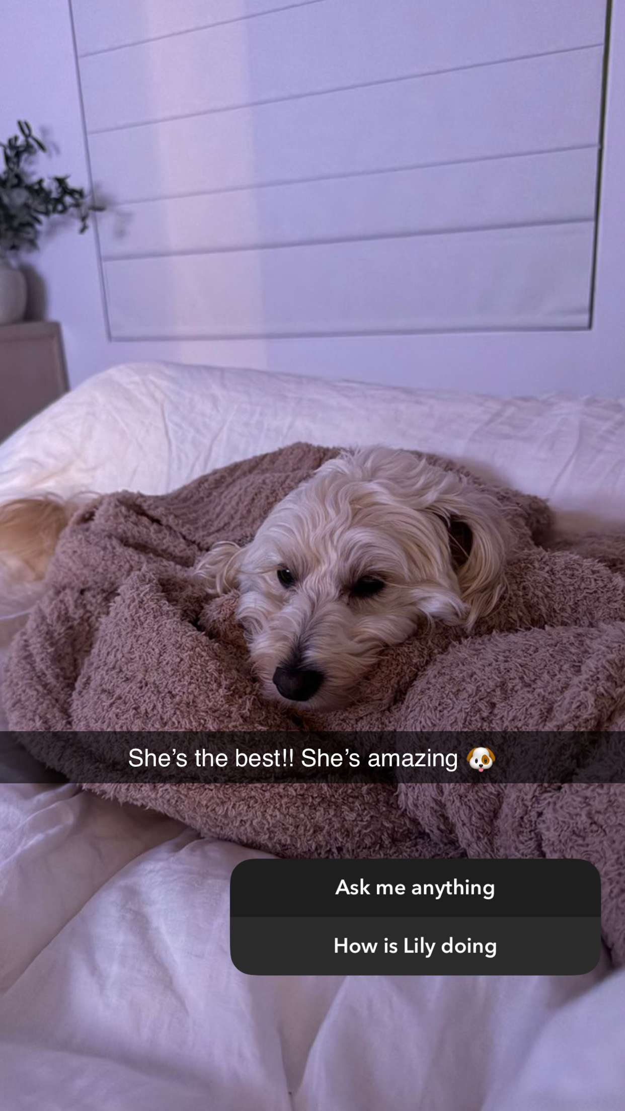 emilyelizabbeth snapchat image archive image