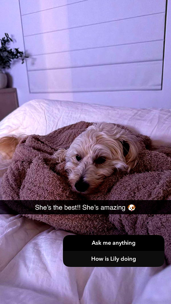 emilyelizabbeth image ~ Altpins