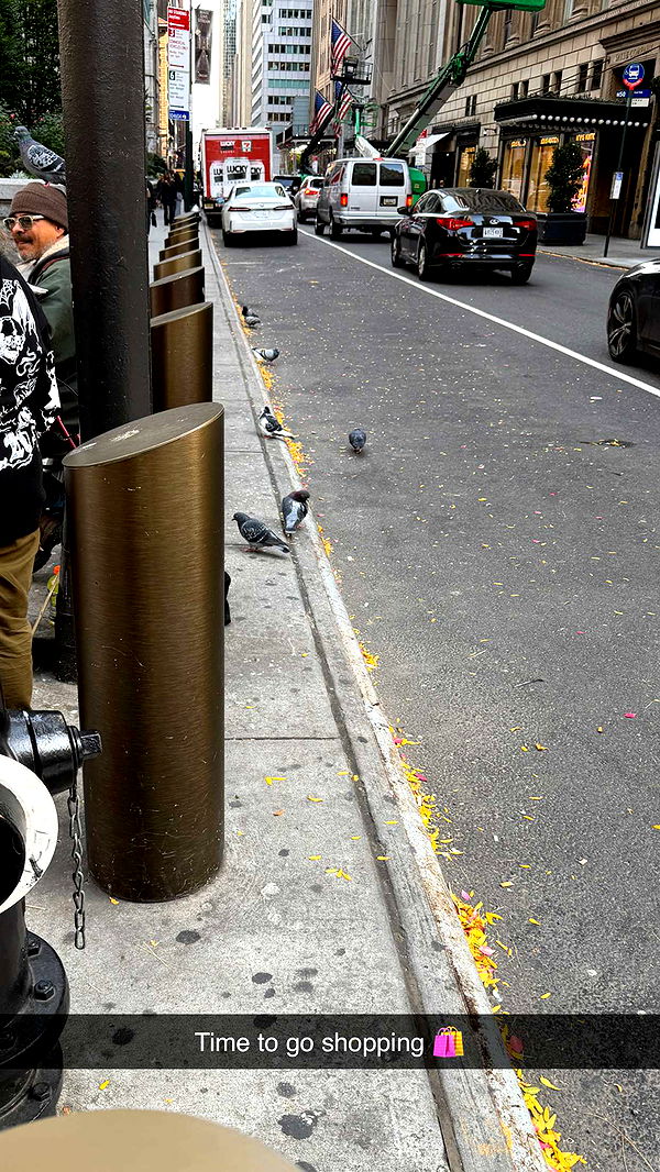 emilyelizabbeth image ~ Altpins