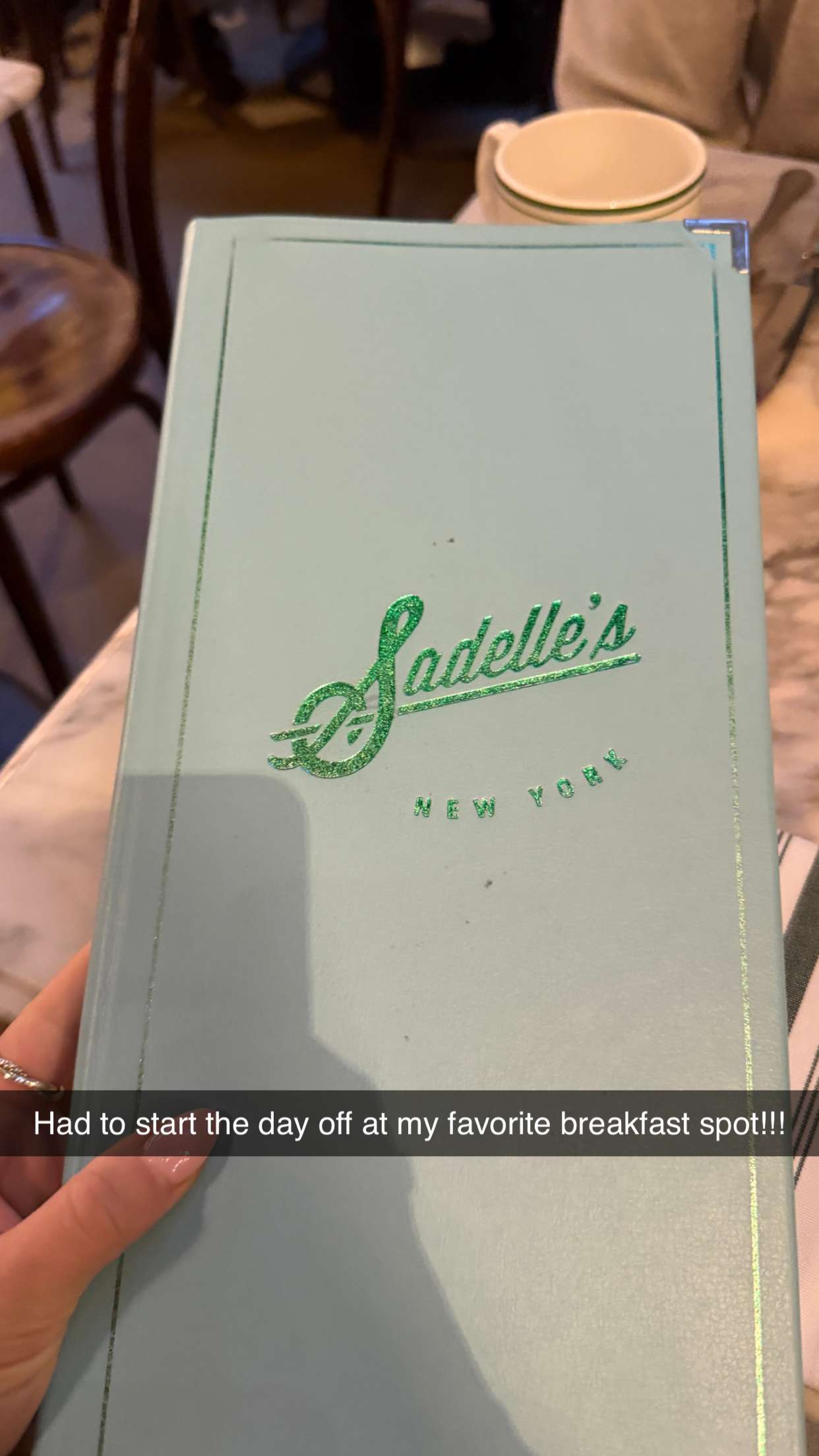 emilyelizabbeth snapchat image archive image