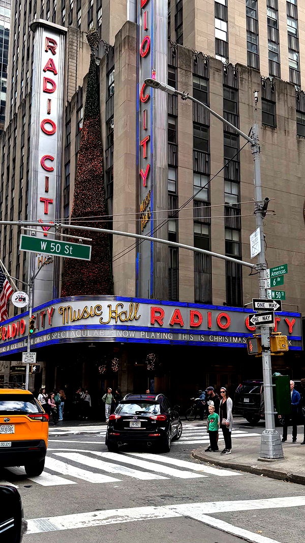 emilyelizabbeth image ~ Altpins