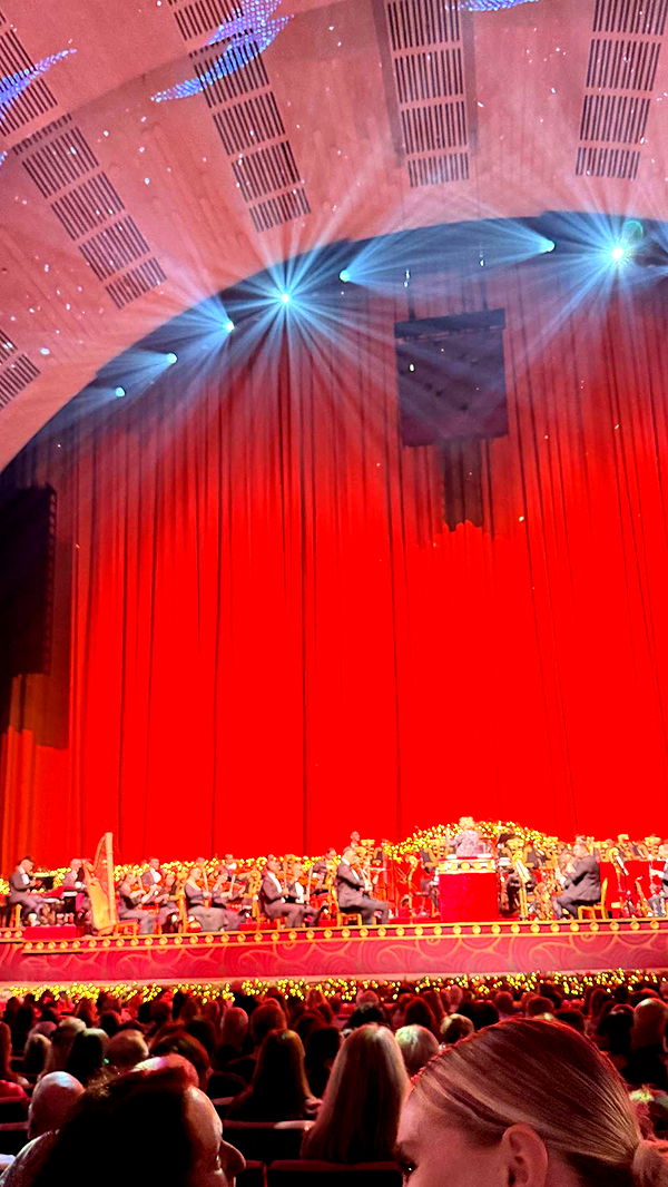 emilyelizabbeth image ~ Altpins