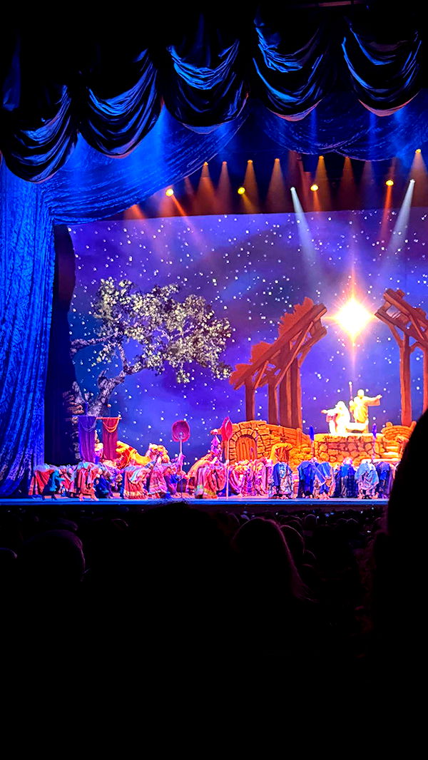 emilyelizabbeth image ~ Altpins