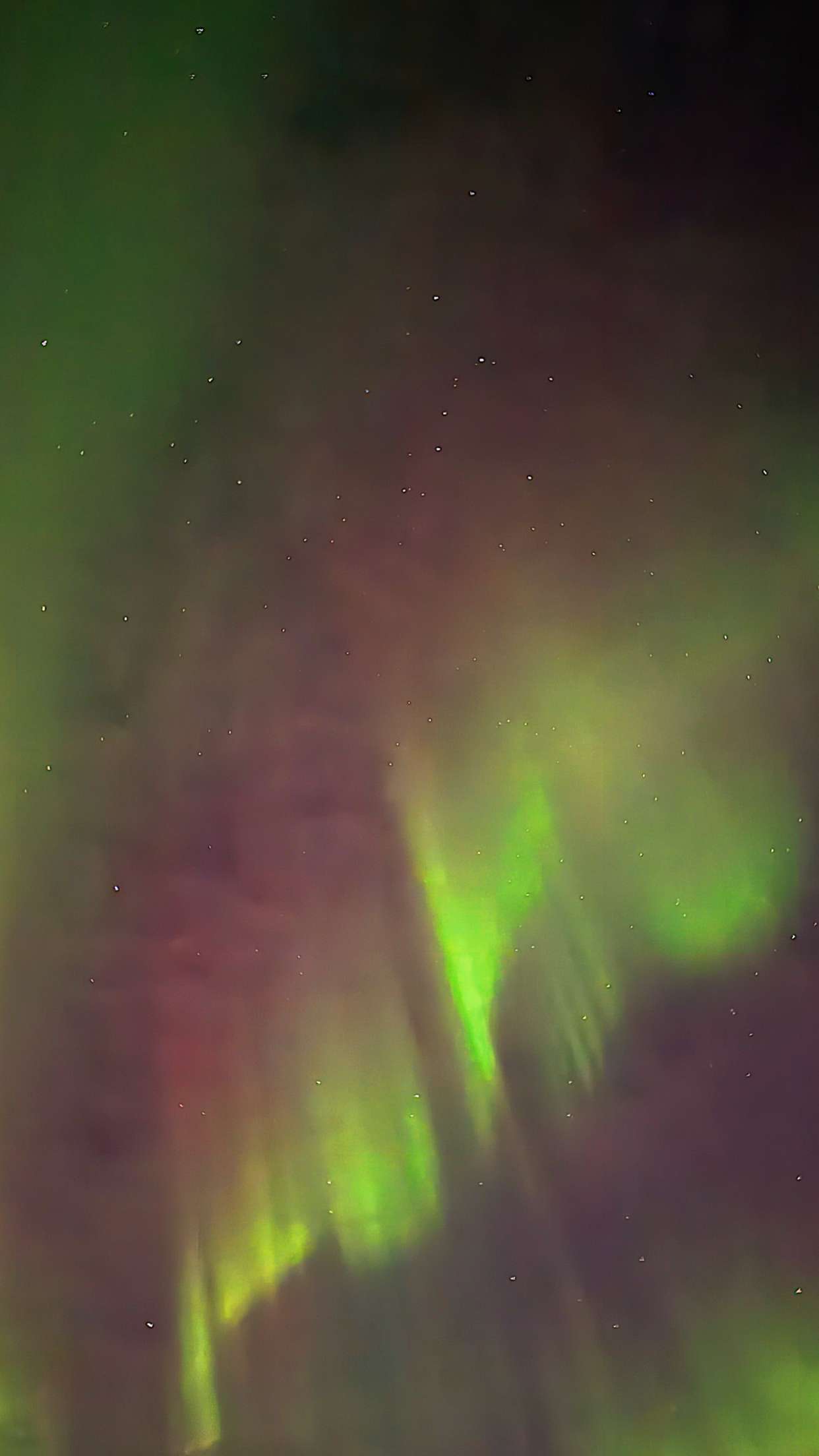 emilyelizabbeth snapchat image archive image