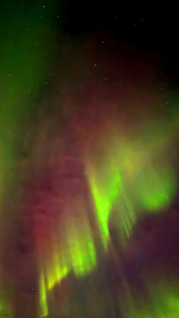 emilyelizabbeth image ~ Altpins