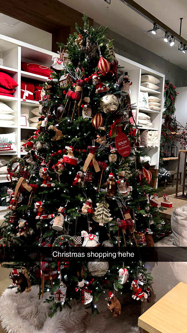 emilyelizabbeth image ~ Altpins