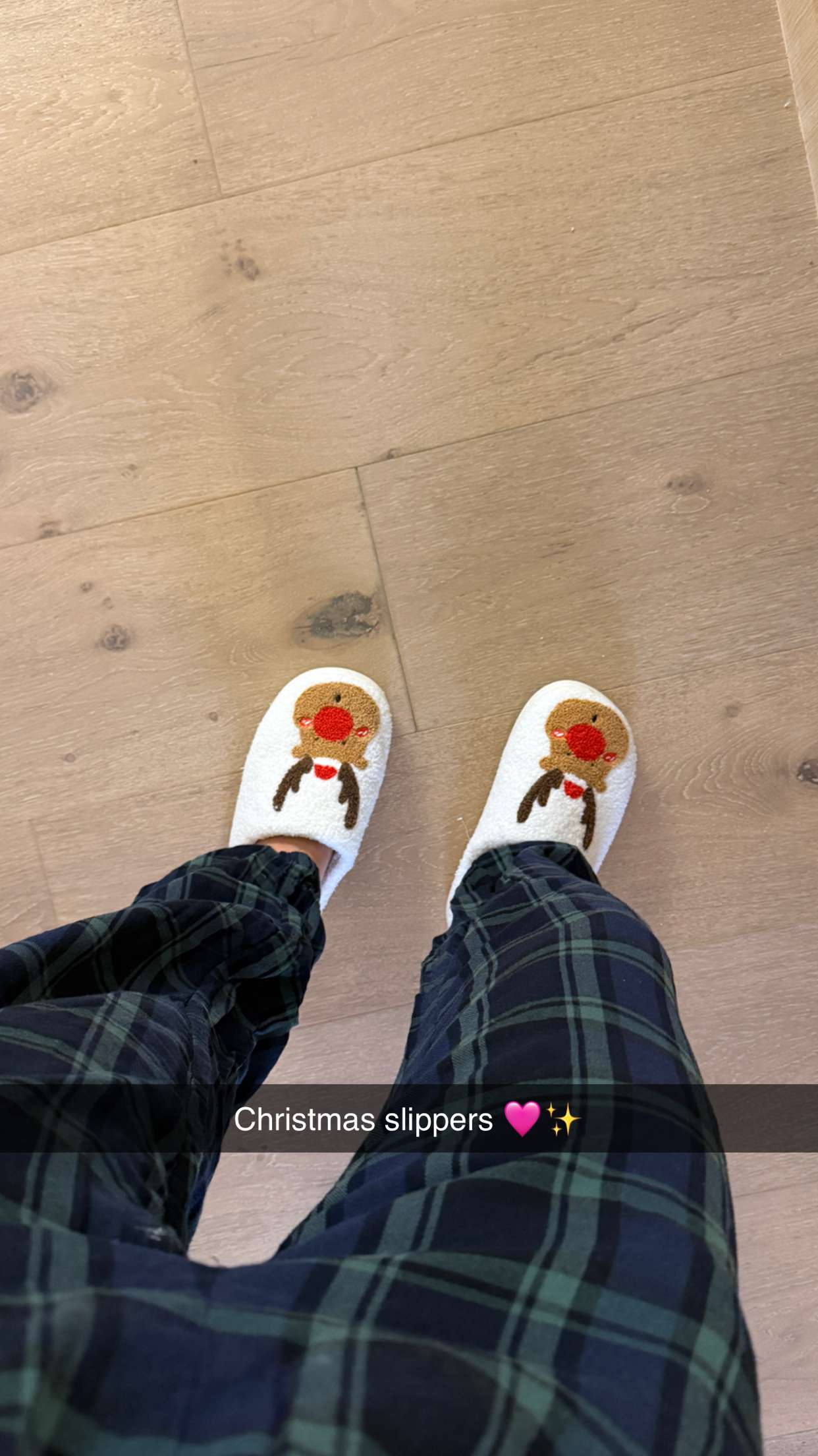 emilyelizabbeth snapchat image archive image