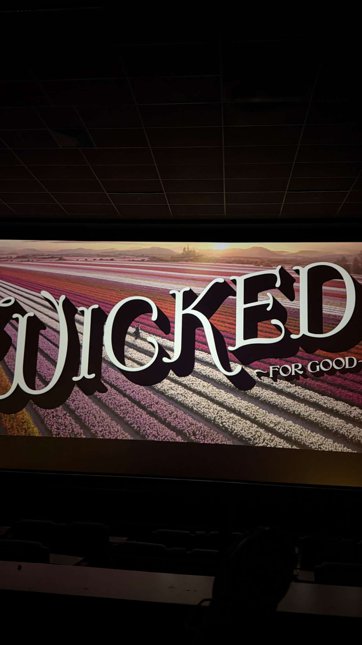 emilyelizabbeth snapchat image archive image