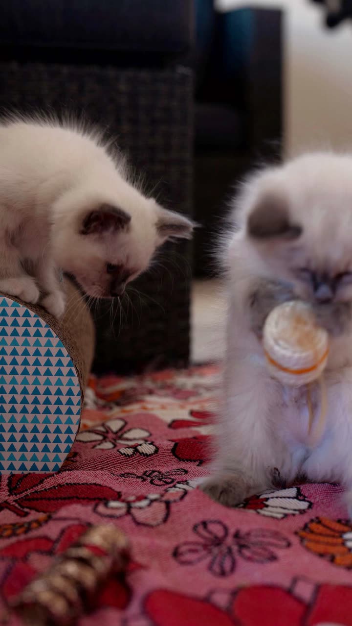 emxllouise snapchat image archive image